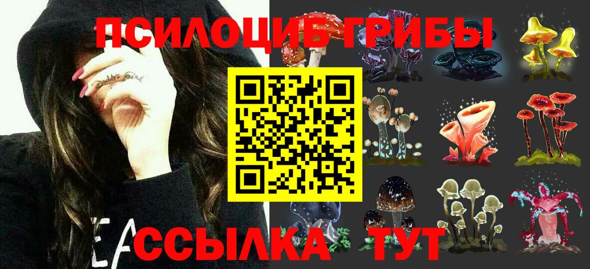 Миллерово  Псилоцибиновые грибы MAGIC MUSHROOMS  Вход с VPN  Псилоцибиновые грибы Psilocybe 