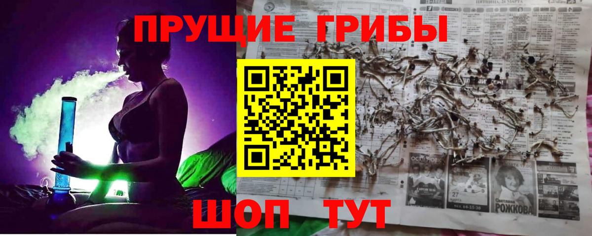 Псилоцибиновые грибы Psilocybe Миллерово